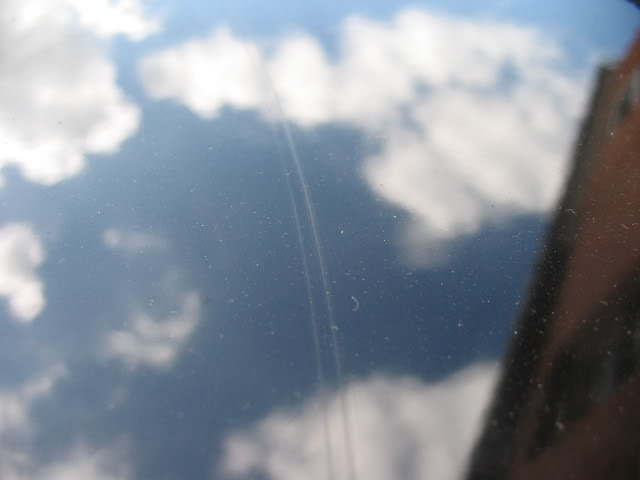IMG_5115.jpg