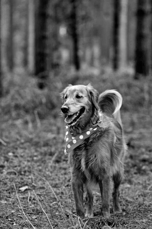 IMG_5293-Tri-X.webp