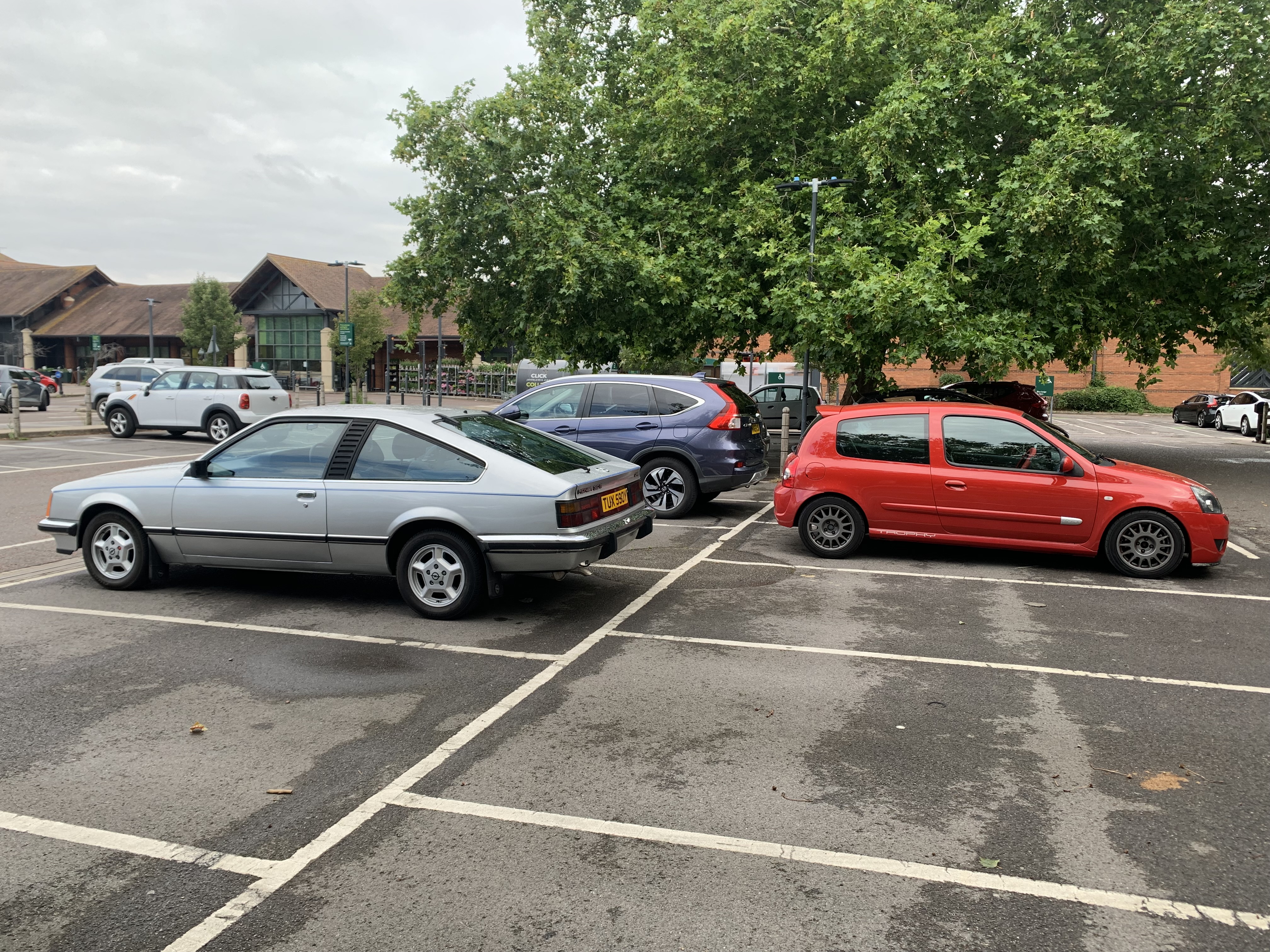 IMG_5498.jpeg