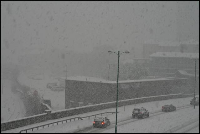 IMG_5521-1.jpg IMG_5521-1.jpg