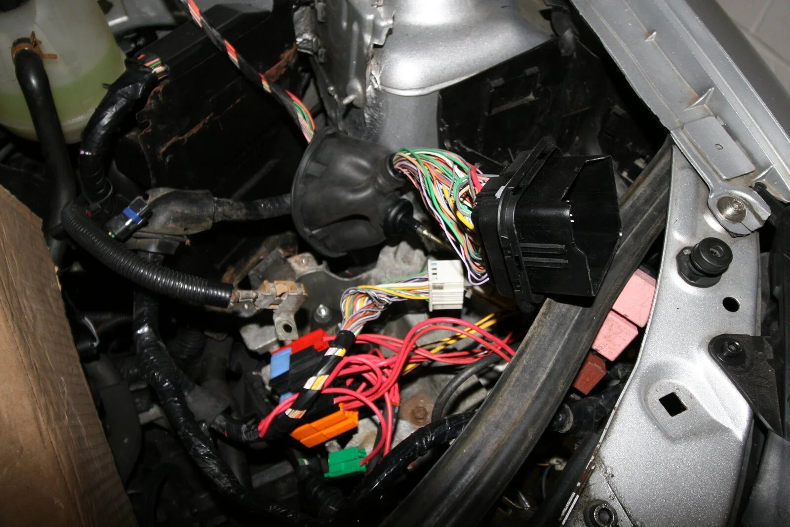 IMG_5811.webp
