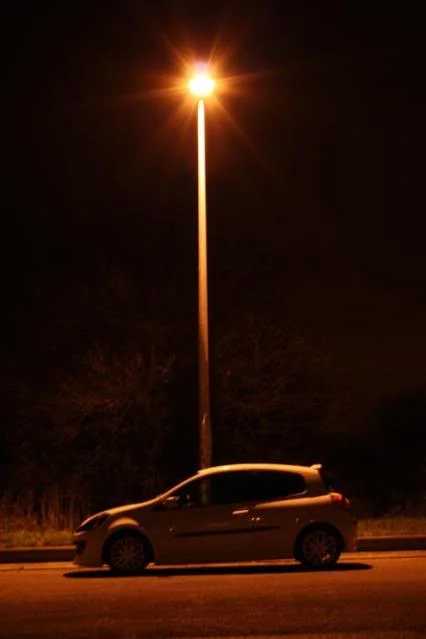 IMG_6096Large.webp