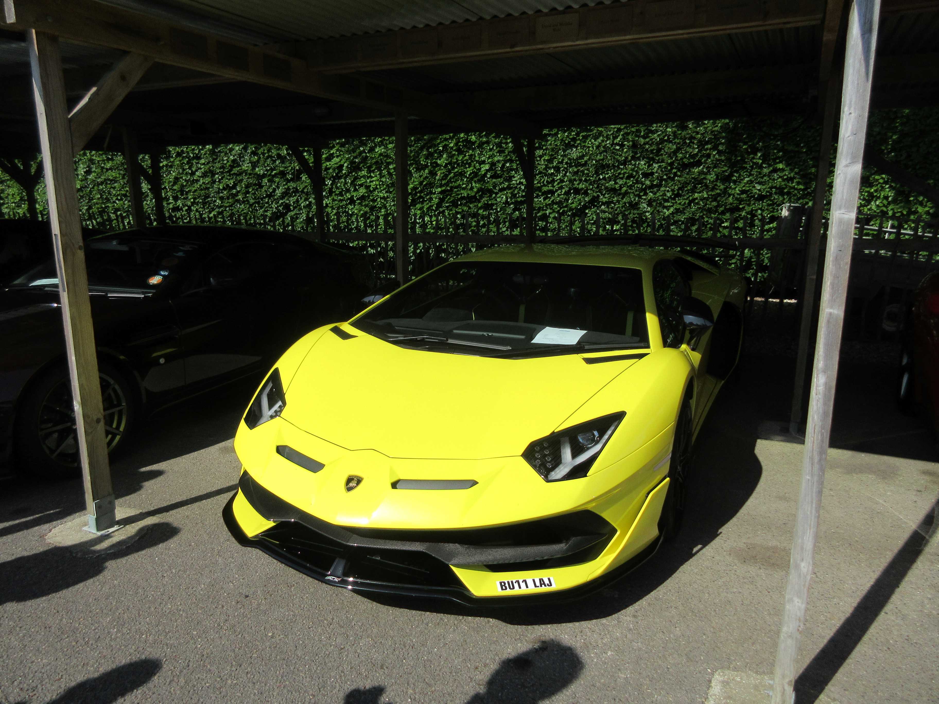 IMG_6226s.jpg