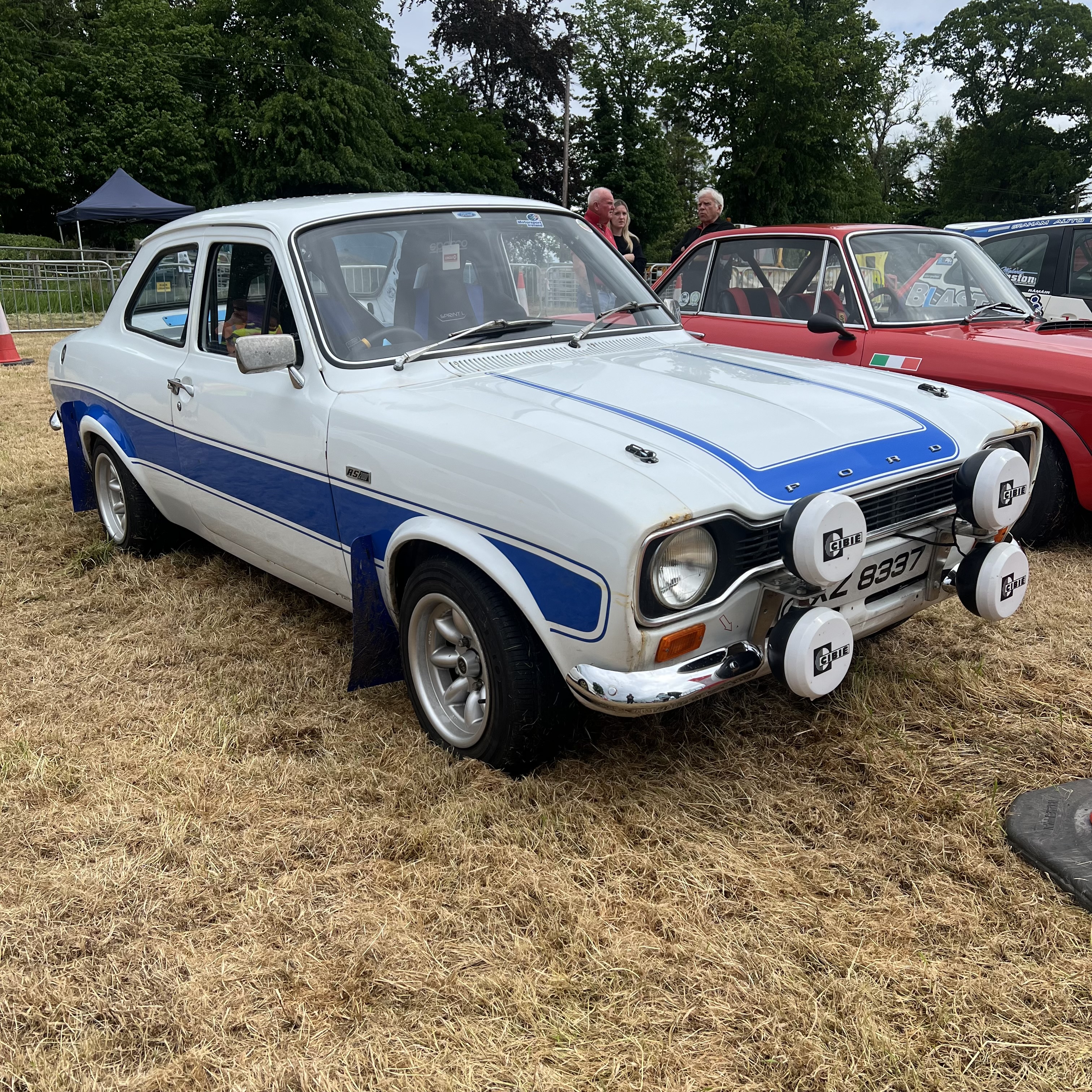 IMG_6238.jpeg