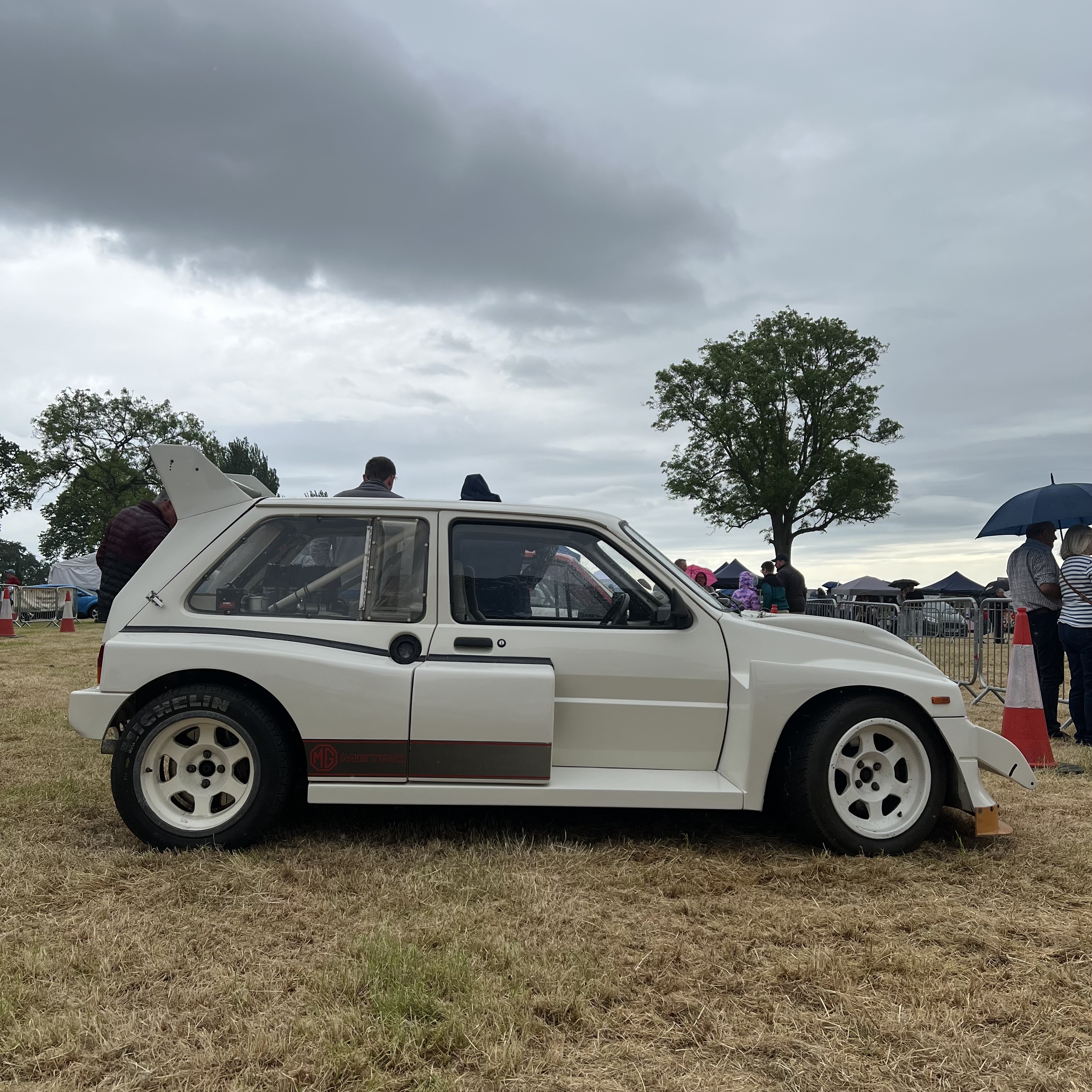 IMG_6250.jpeg