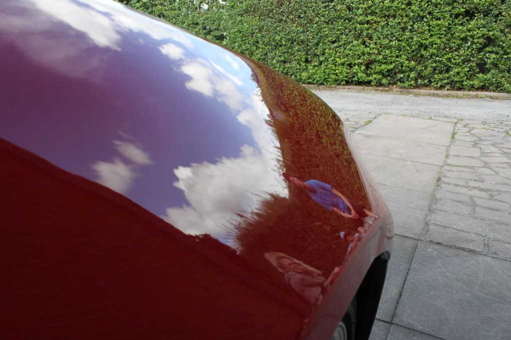 IMG_6645.webp