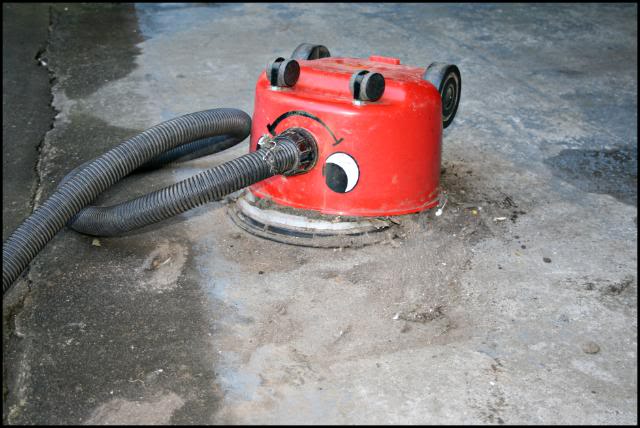 IMG_6667.jpg IMG_6667.jpg