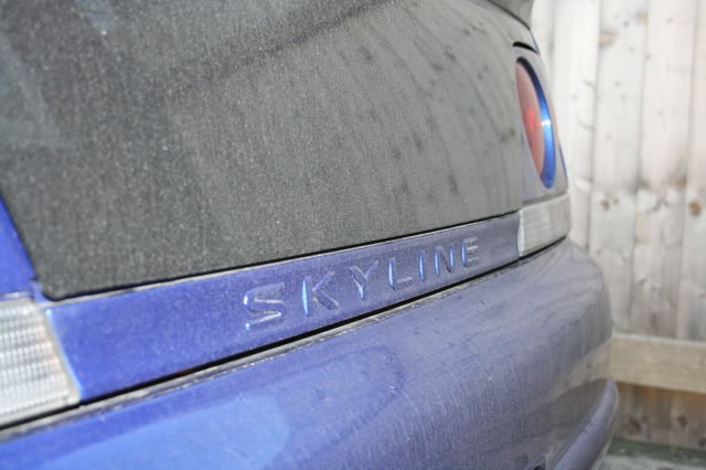 IMG_6905.jpg IMG_6905.jpg