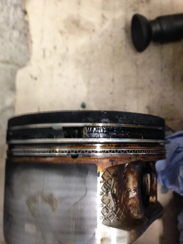 IMG_6925_zps3d89f5cf.webp