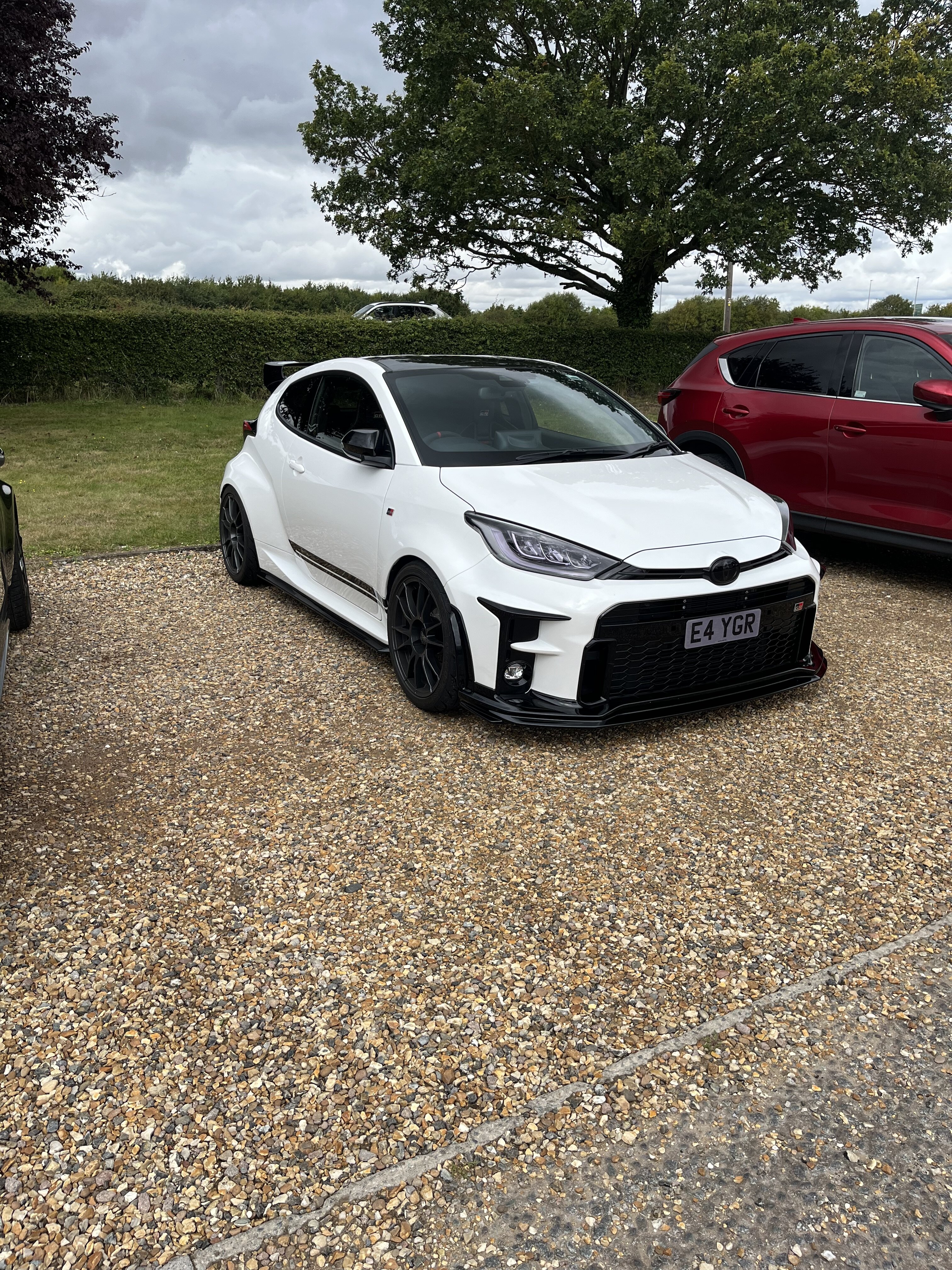 IMG_6977.jpeg