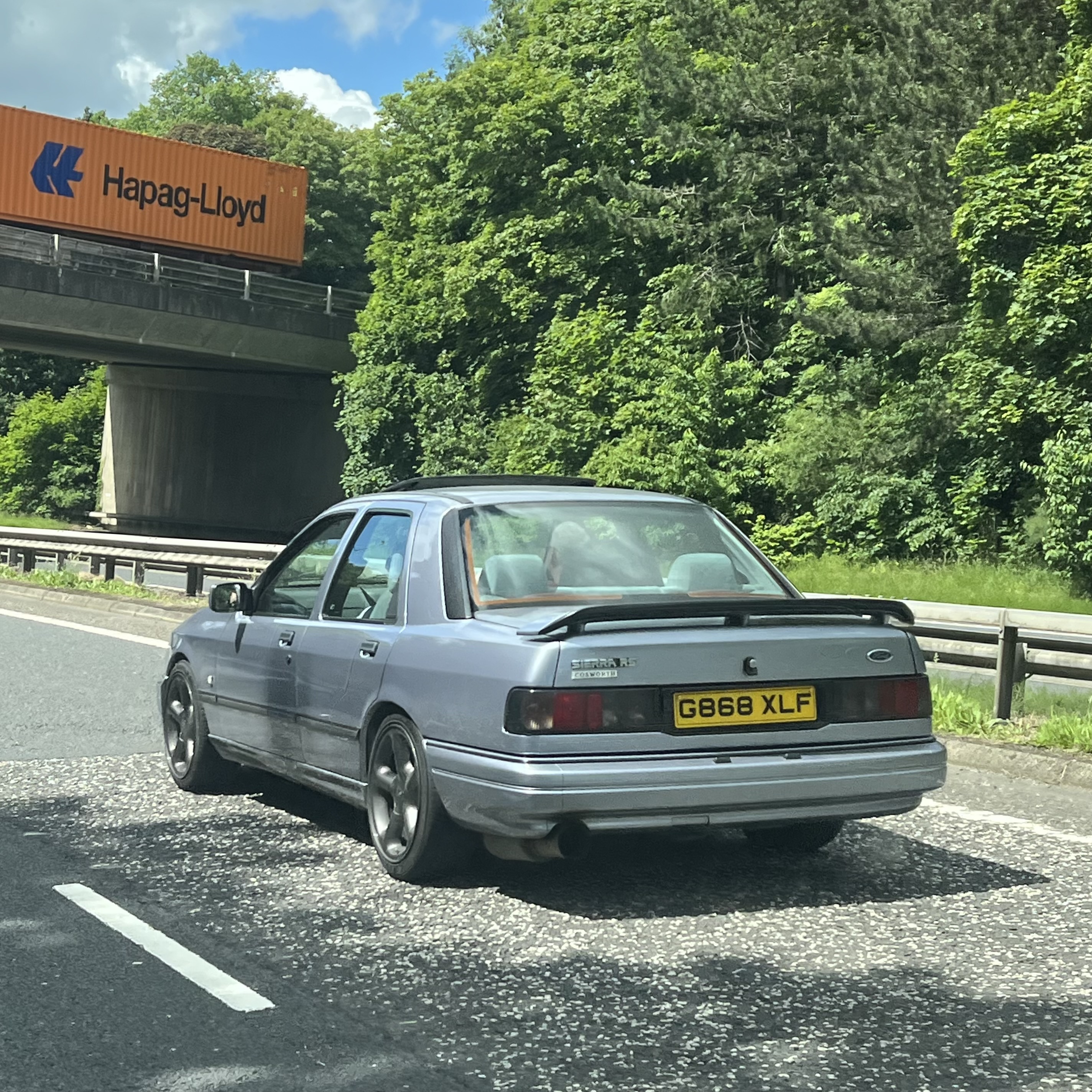 IMG_6993.jpeg