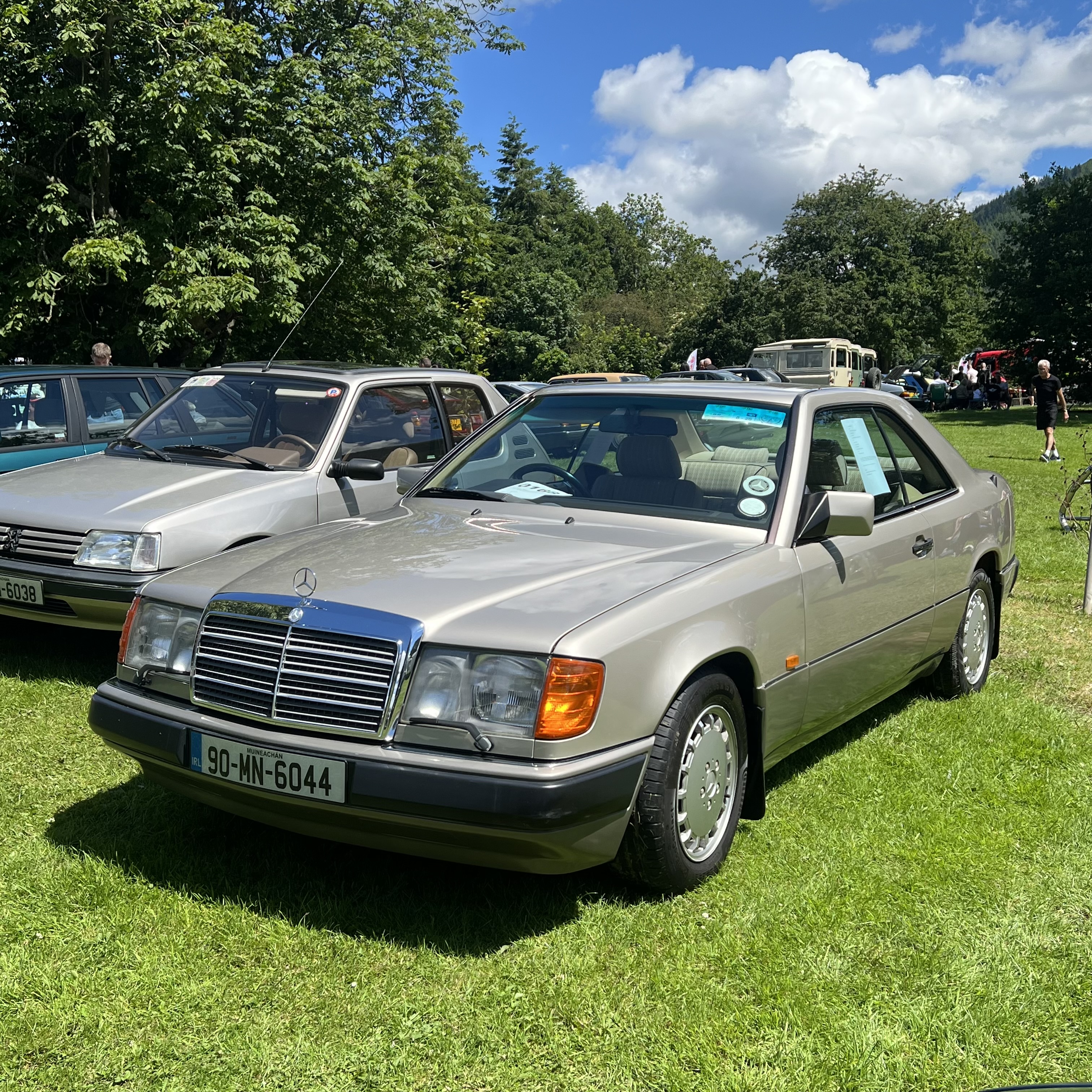 IMG_7006.jpeg