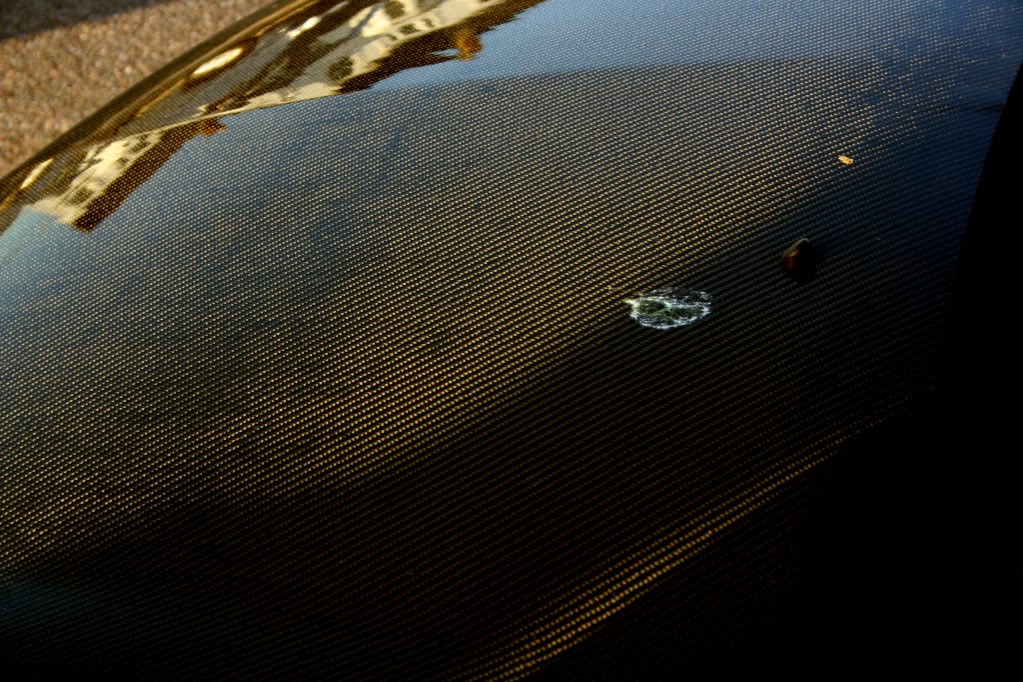 IMG_7029.jpg IMG_7029.jpg