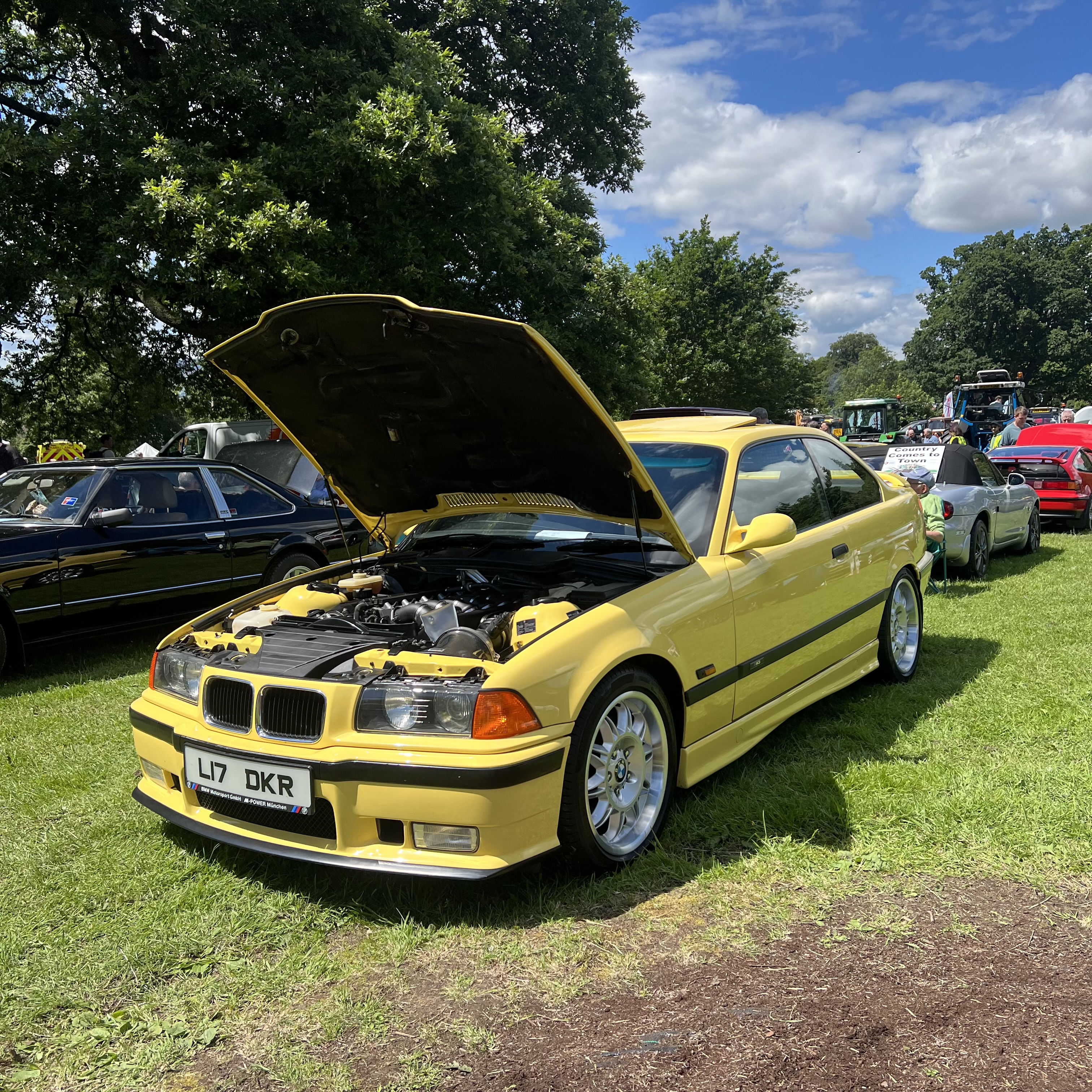 IMG_7052.jpeg
