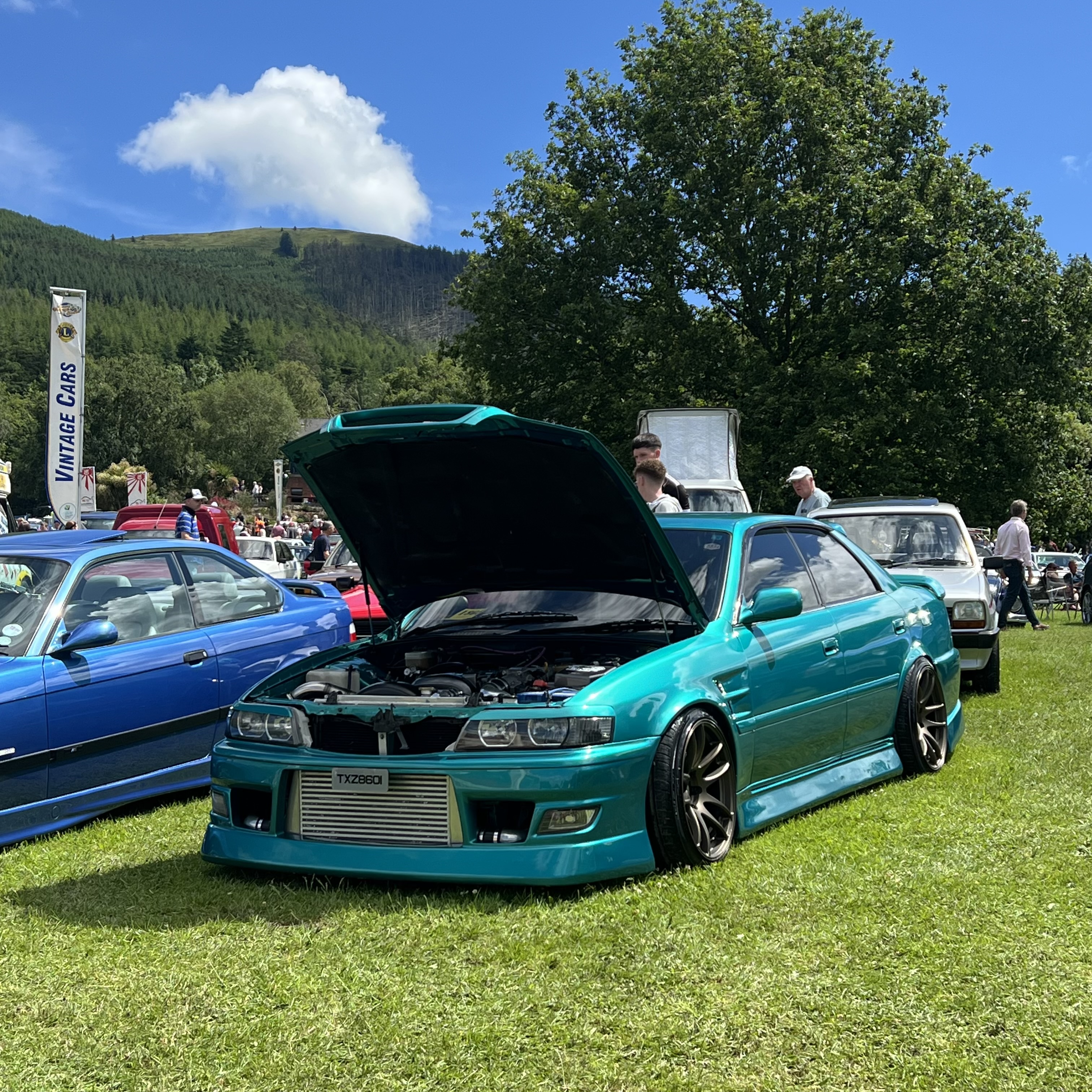 IMG_7093.jpeg