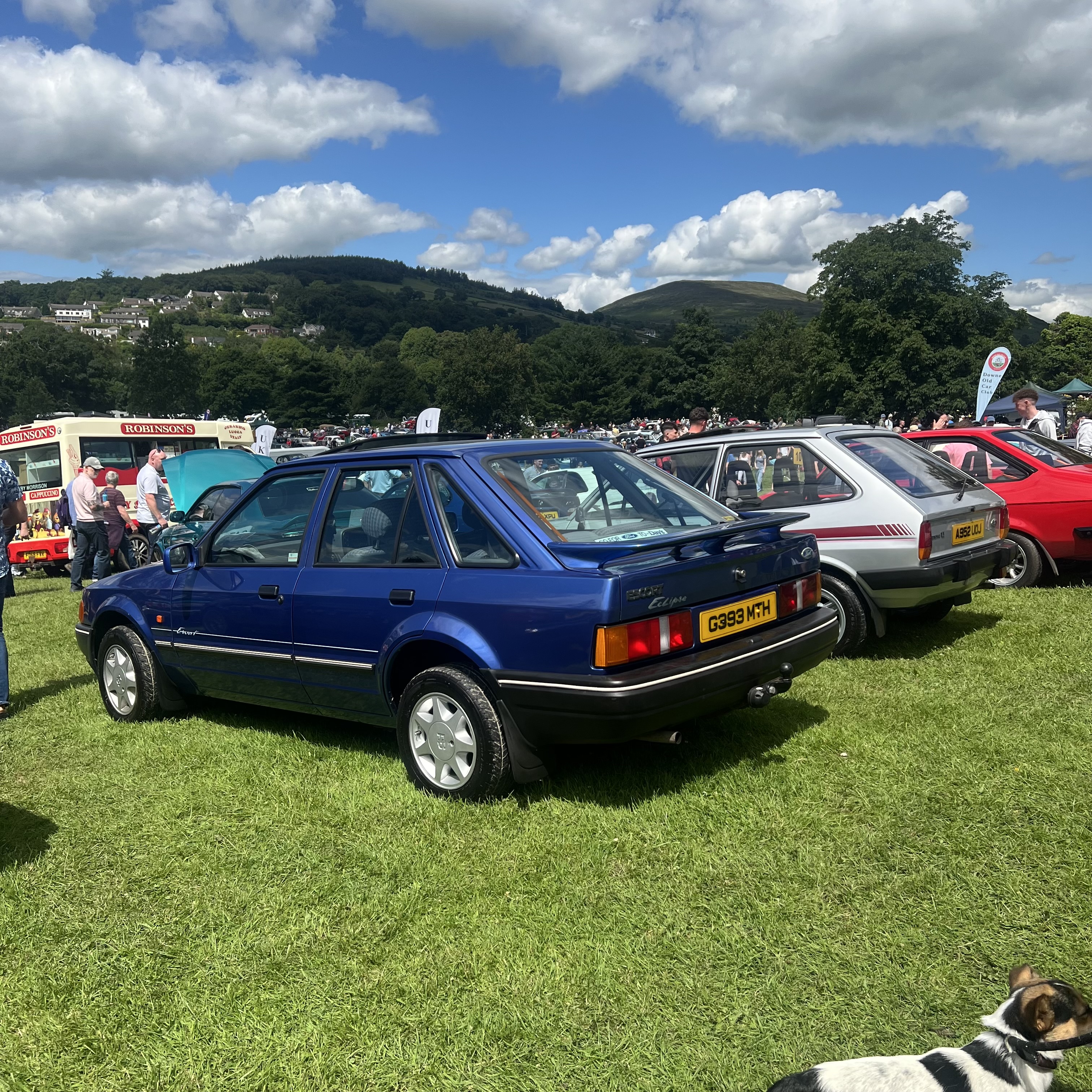 IMG_7104.jpeg