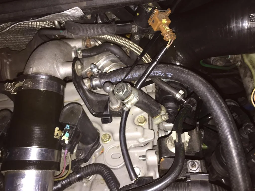 IMG_7124_zps7ef29cb4.webp