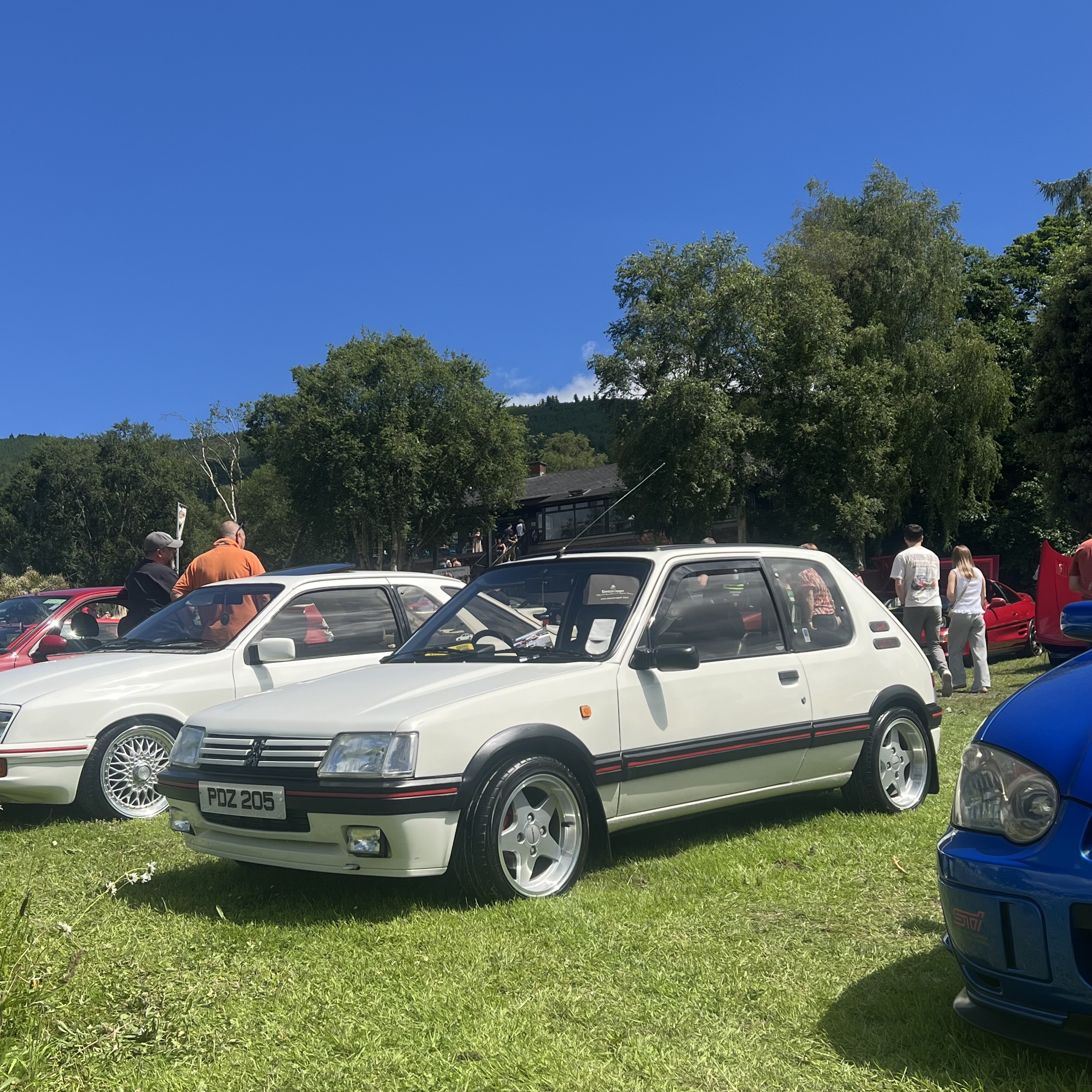 IMG_7135.jpeg