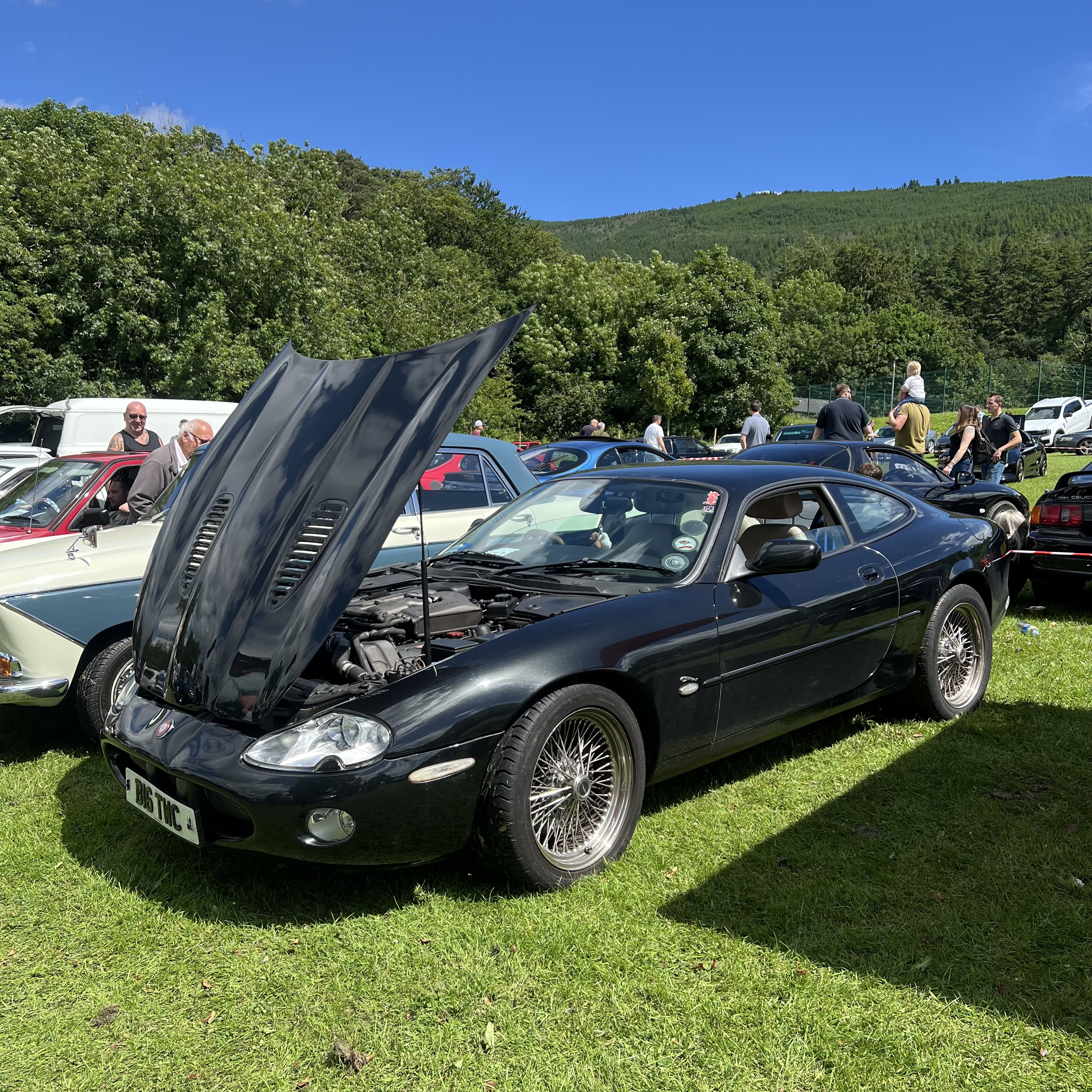 IMG_7177.jpeg