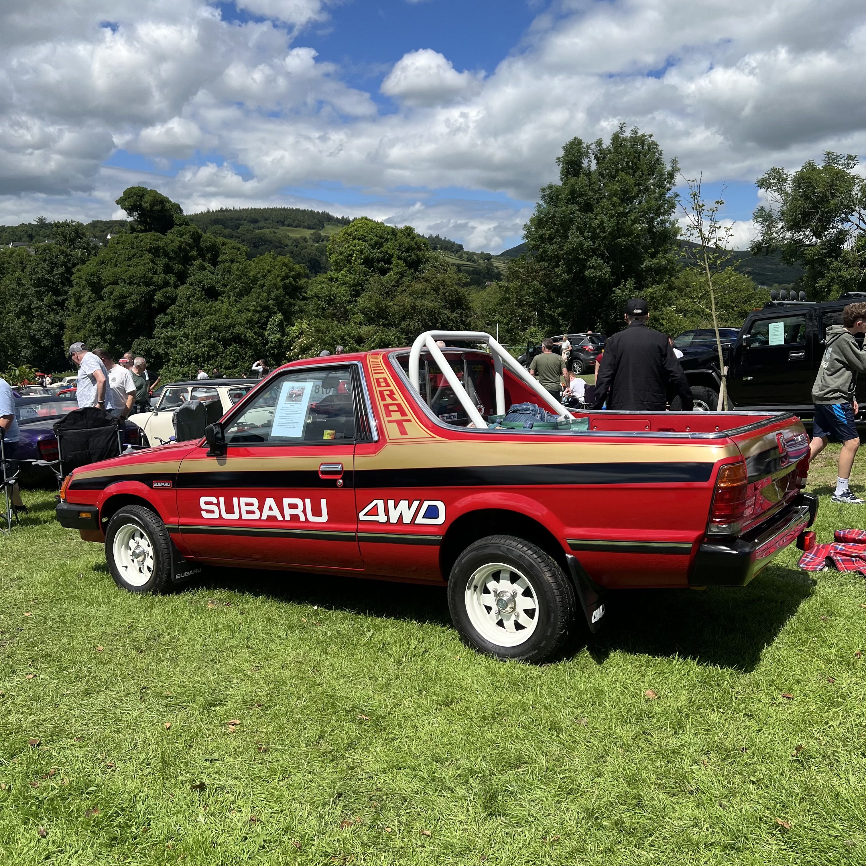 IMG_7181.jpeg