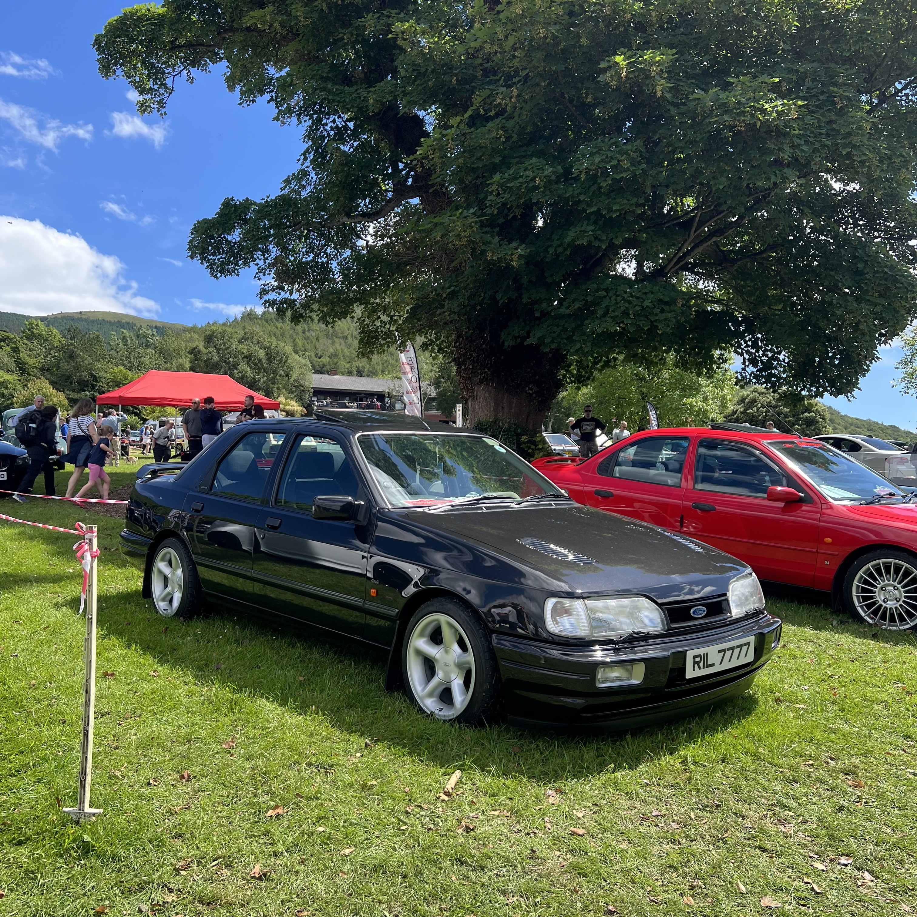 IMG_7183.jpeg