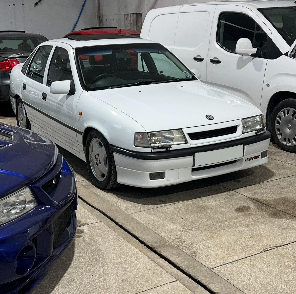 IMG_7219.jpeg