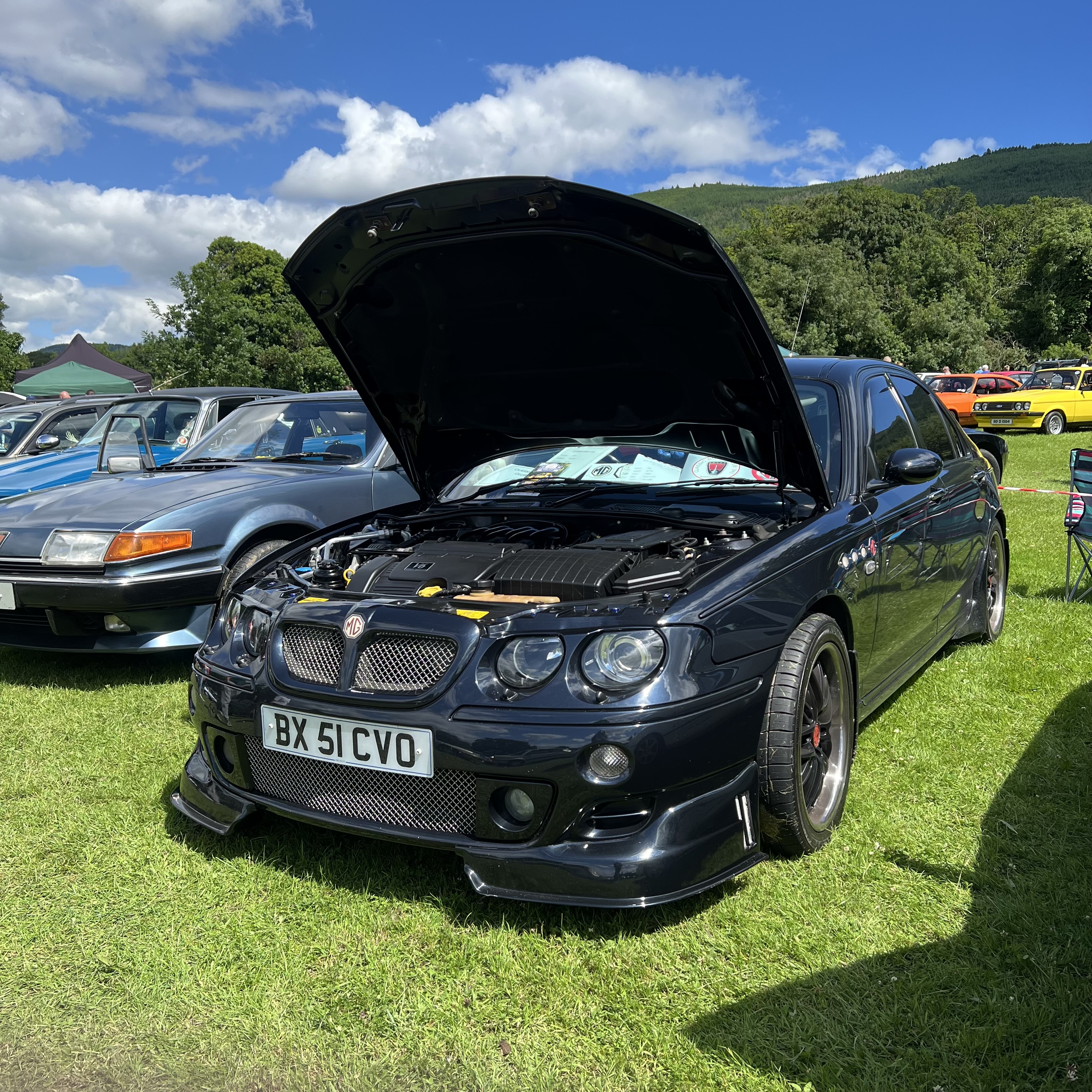 IMG_7233.jpeg