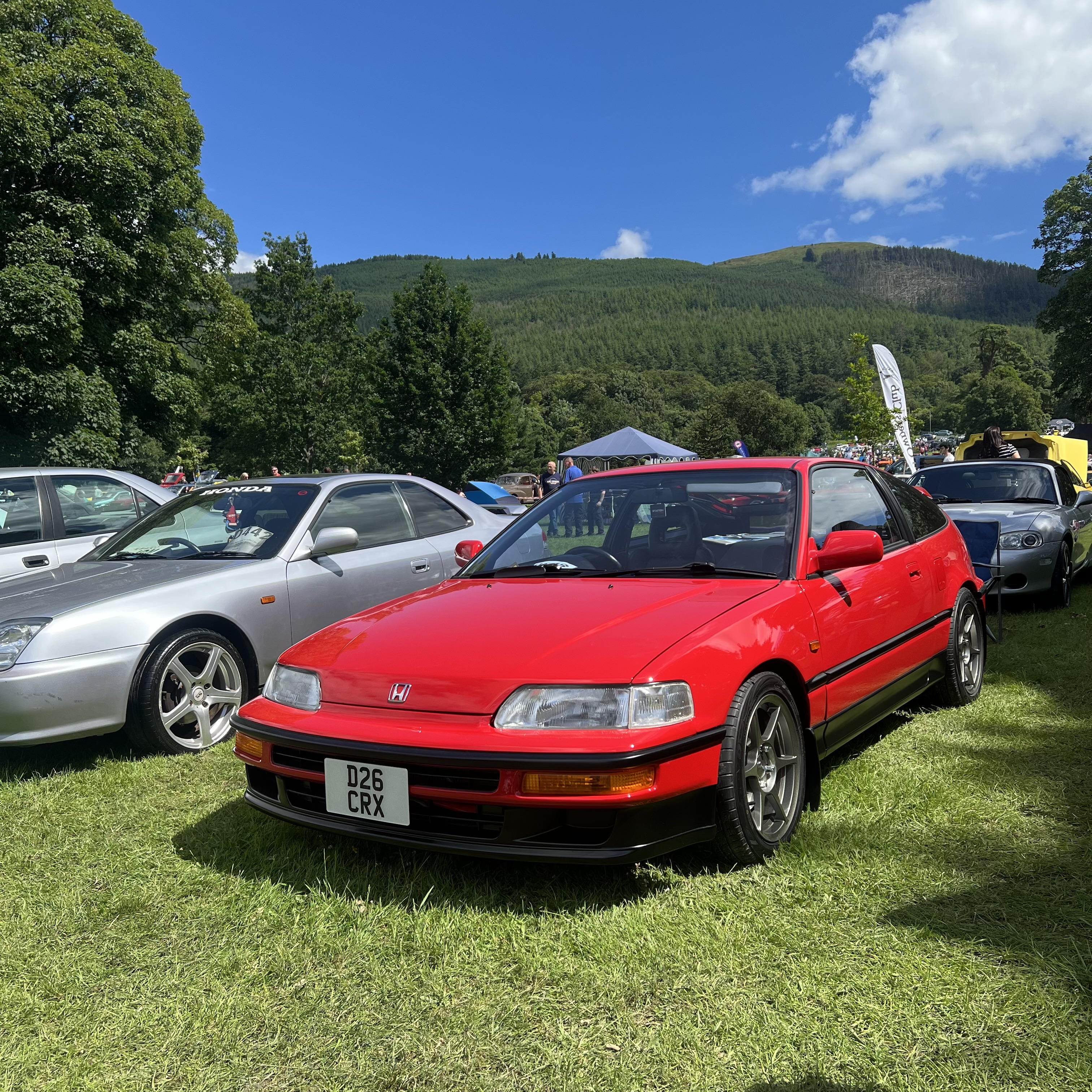 IMG_7260.jpeg