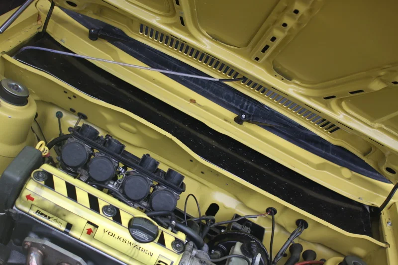IMG_7282.webp