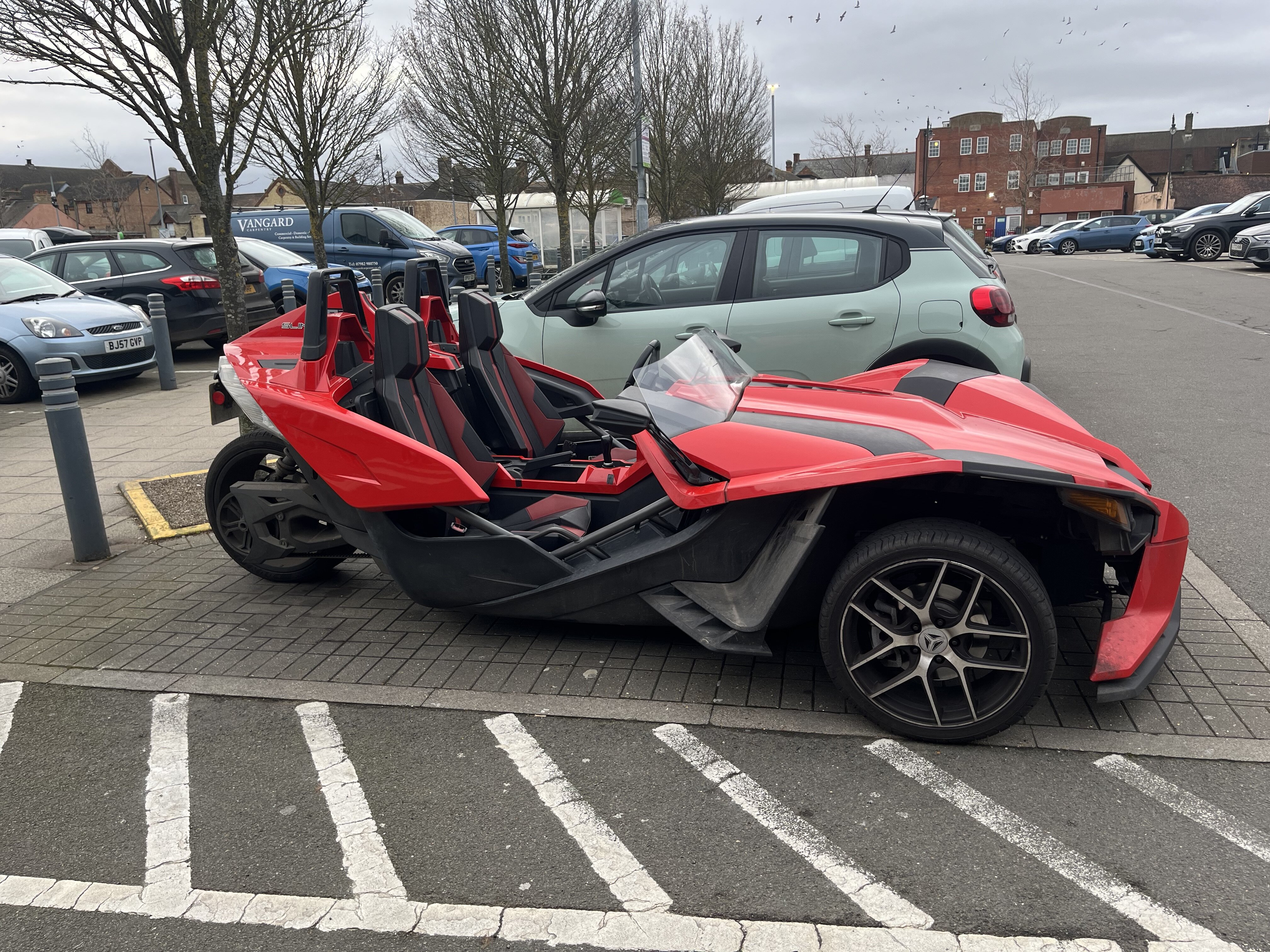 IMG_7425.jpeg
