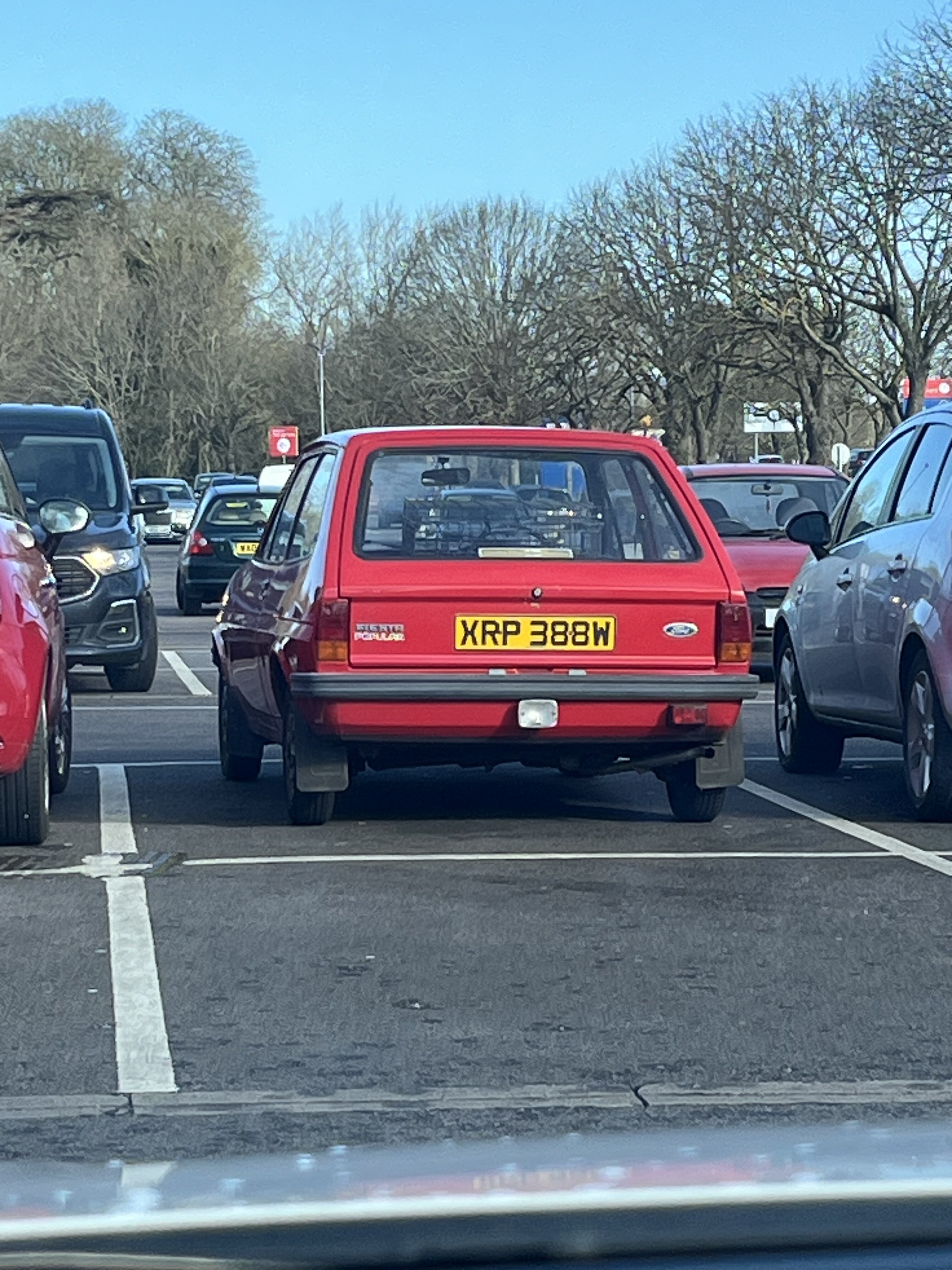 IMG_7681.jpeg