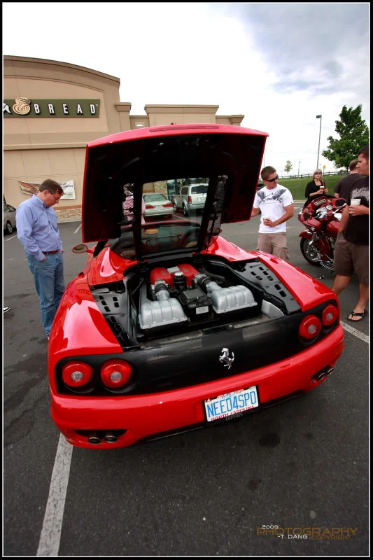 IMG_7718copy.webp