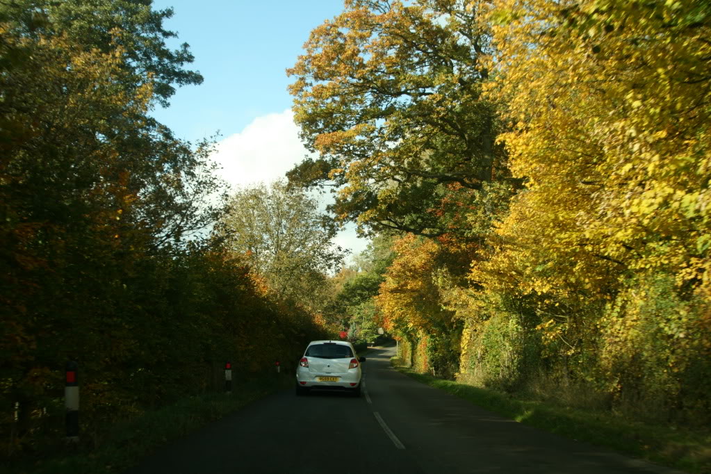 IMG_7734.jpg