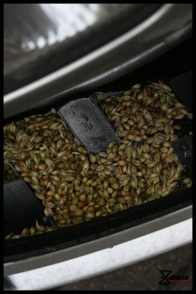 IMG_7873copy.jpg IMG_7873copy.jpg