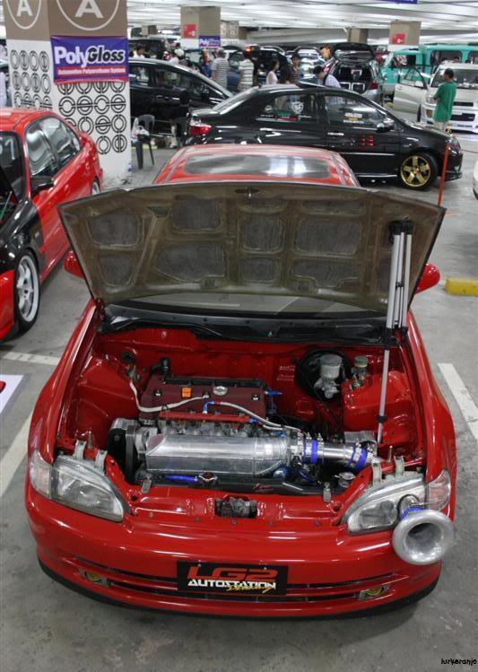 IMG_7950Medium.jpg