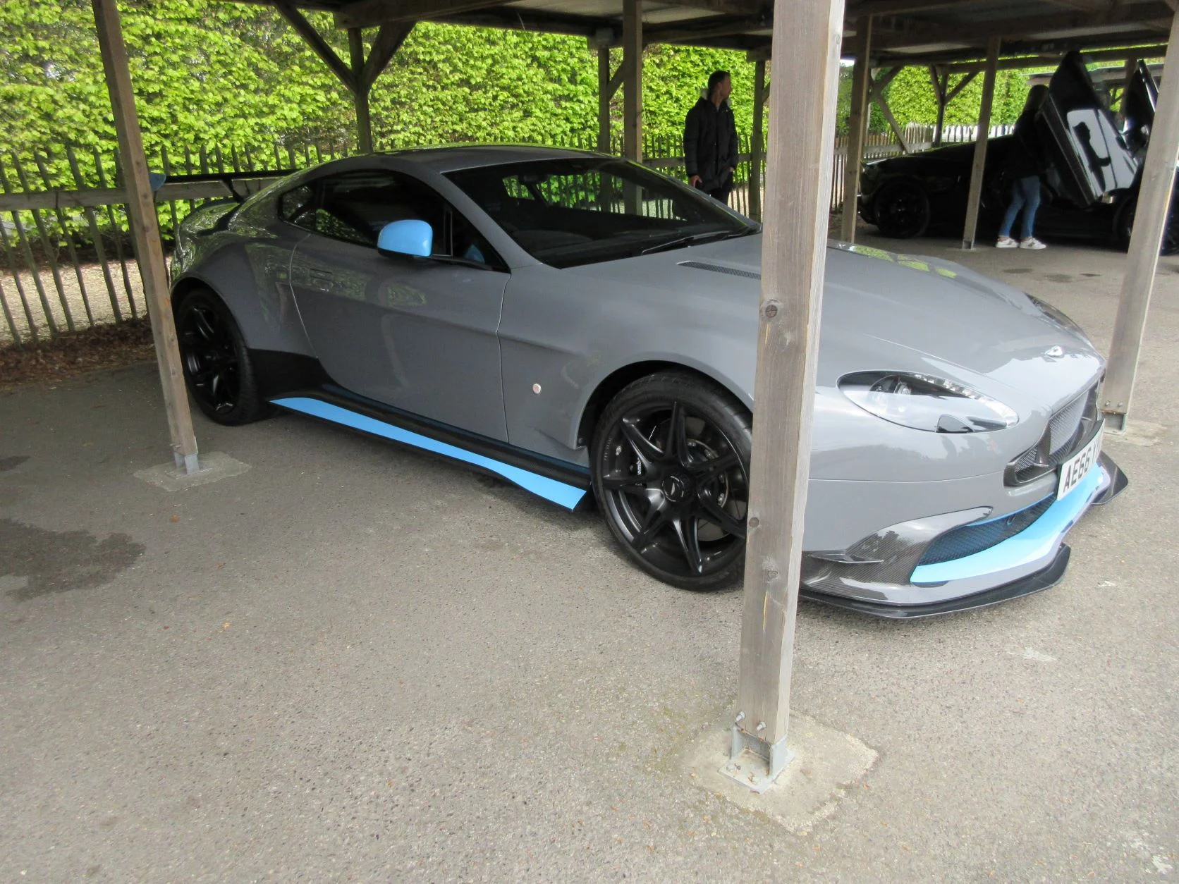 IMG_8023 s.webp