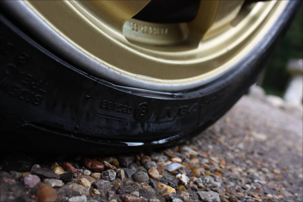 IMG_8297.jpg IMG_8297.jpg