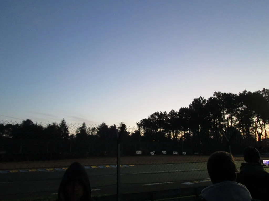 IMG_8530.webp