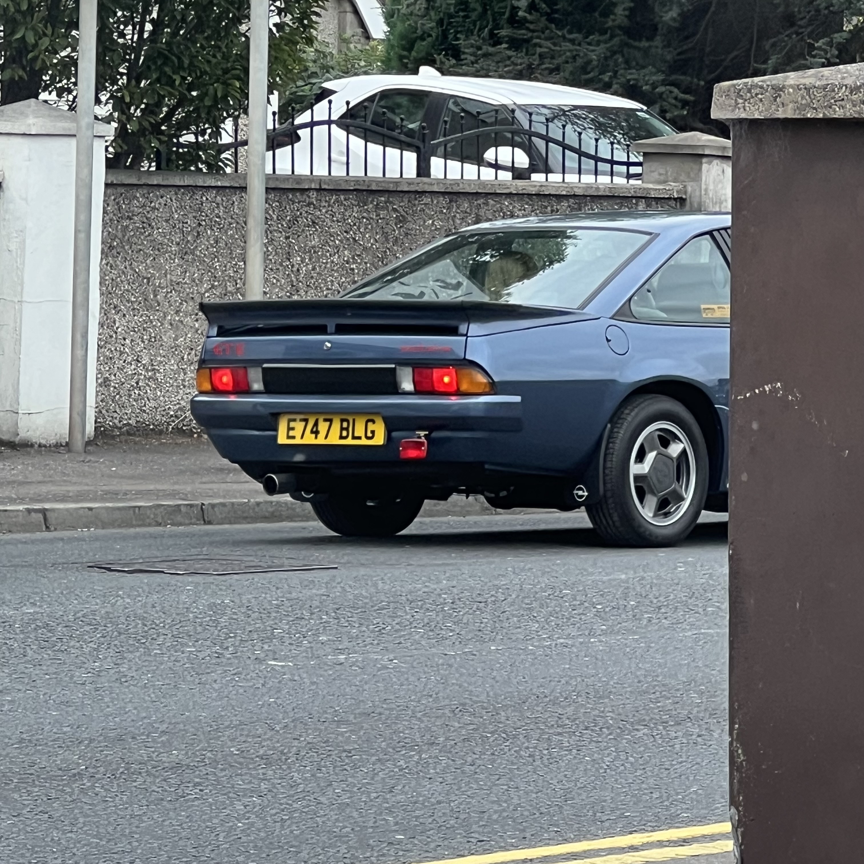 IMG_8531.jpeg
