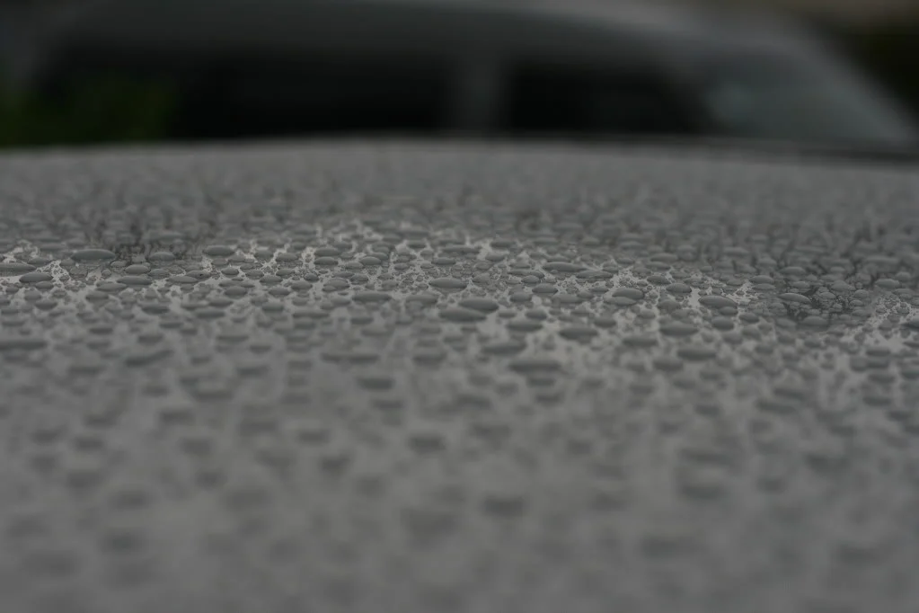 IMG_8543.webp