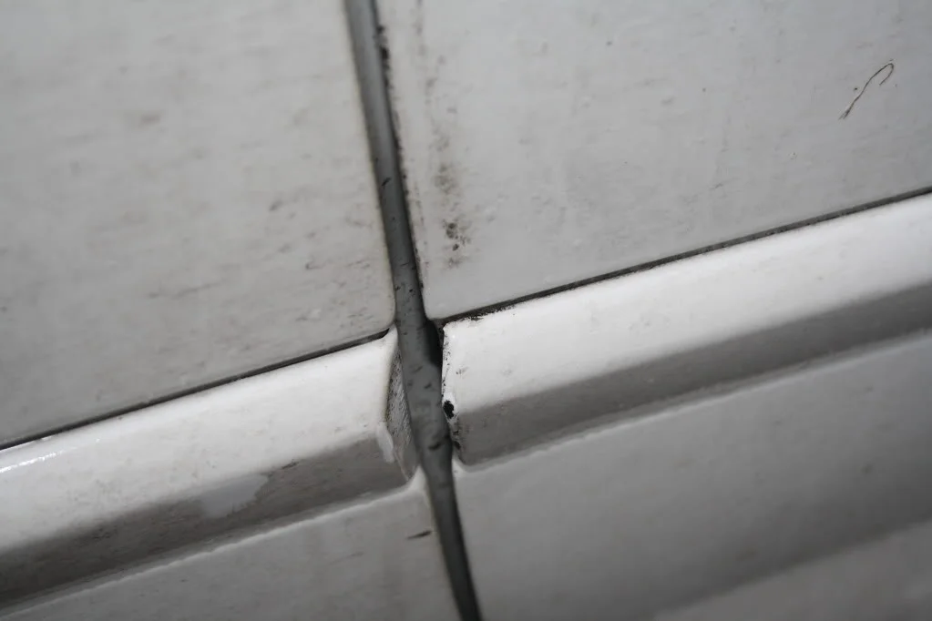 IMG_8619.webp