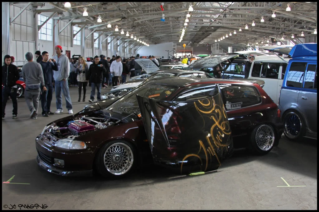 IMG_8656copy.webp