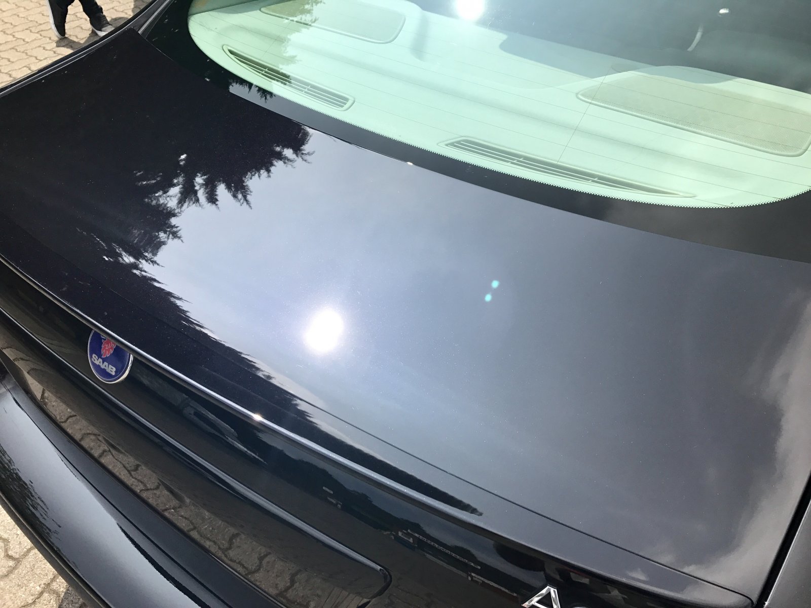 IMG_8884.JPG IMG_8884.JPG