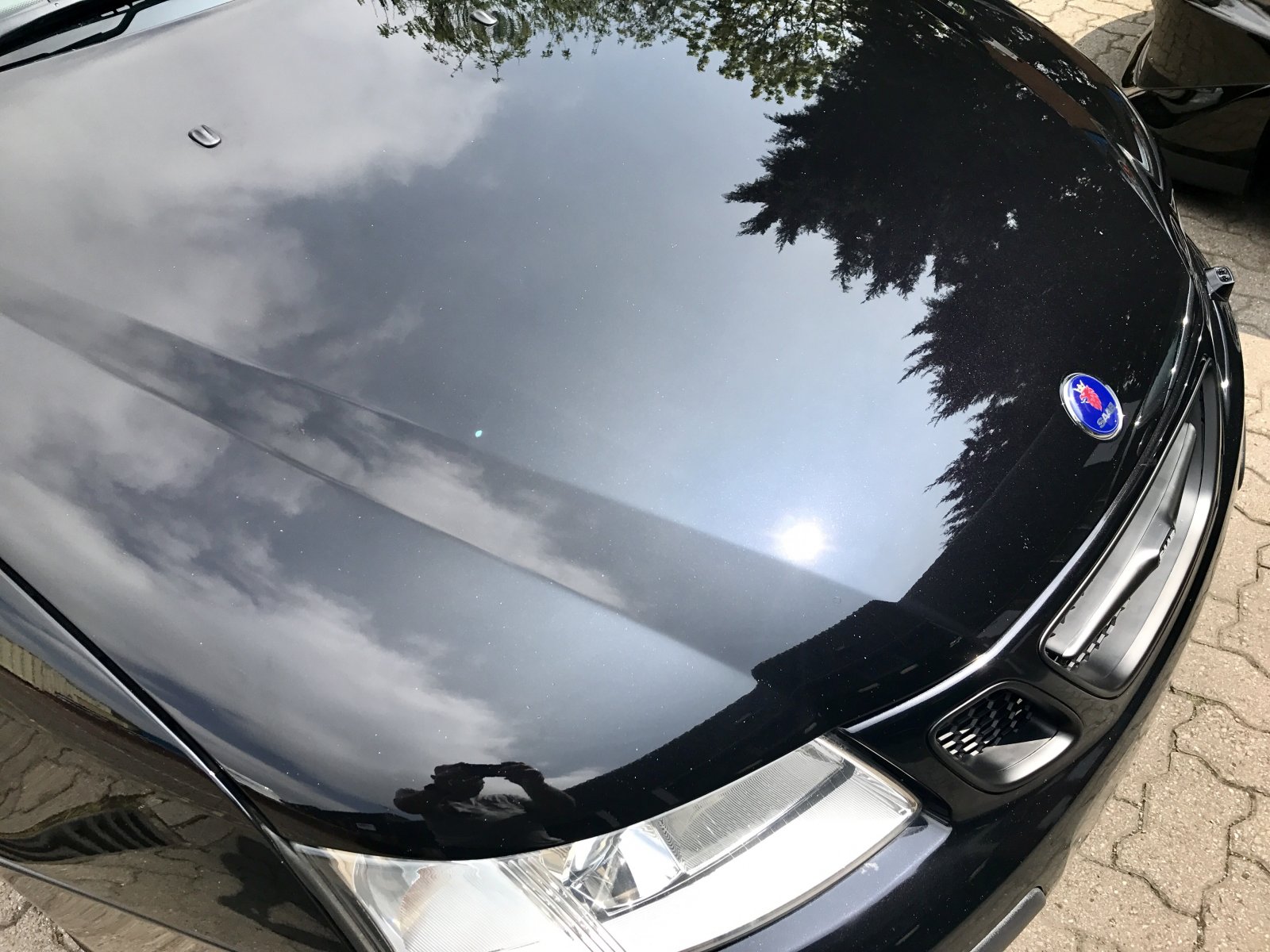 IMG_8885.JPG IMG_8885.JPG