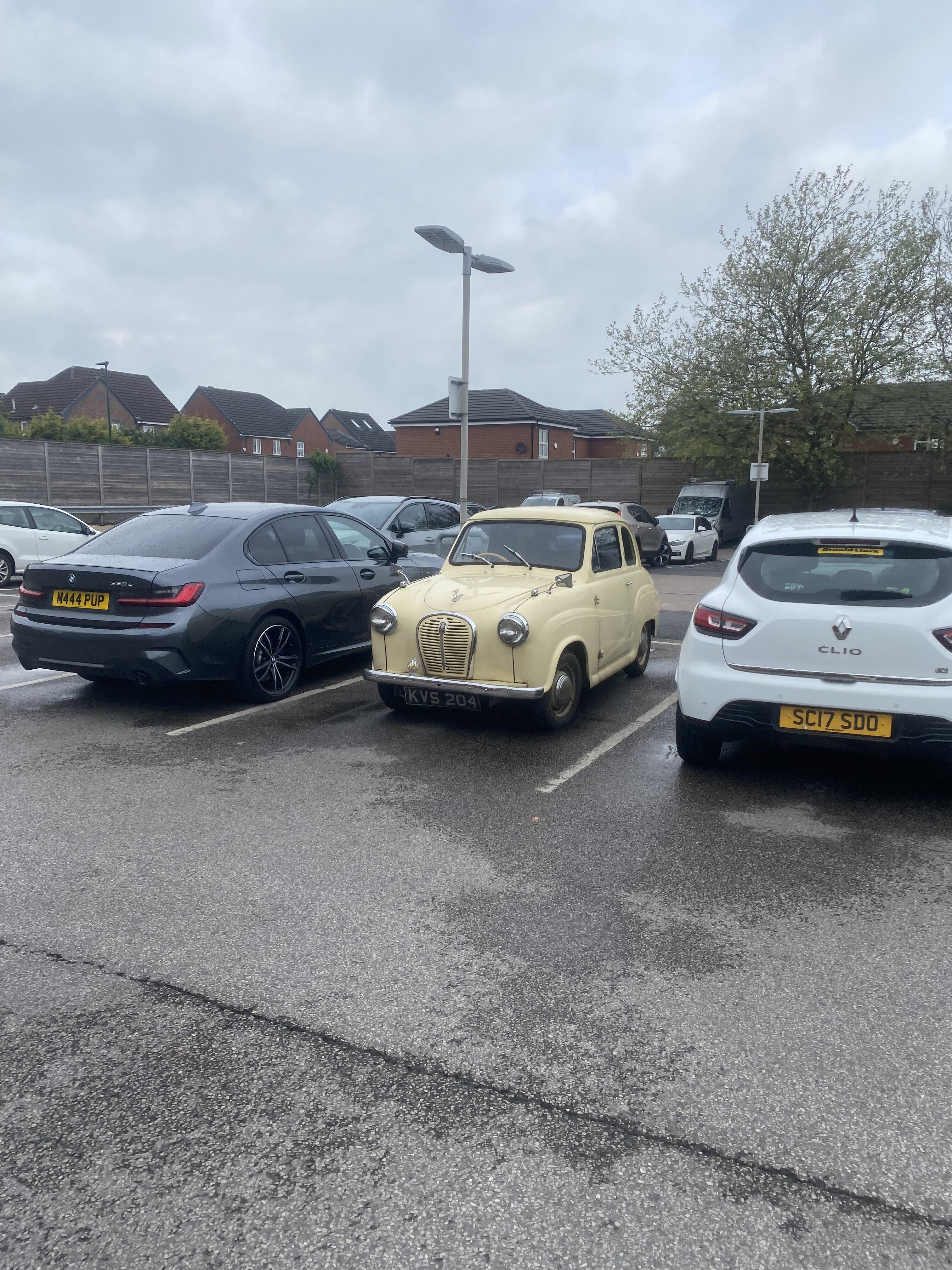 IMG_8939.jpeg