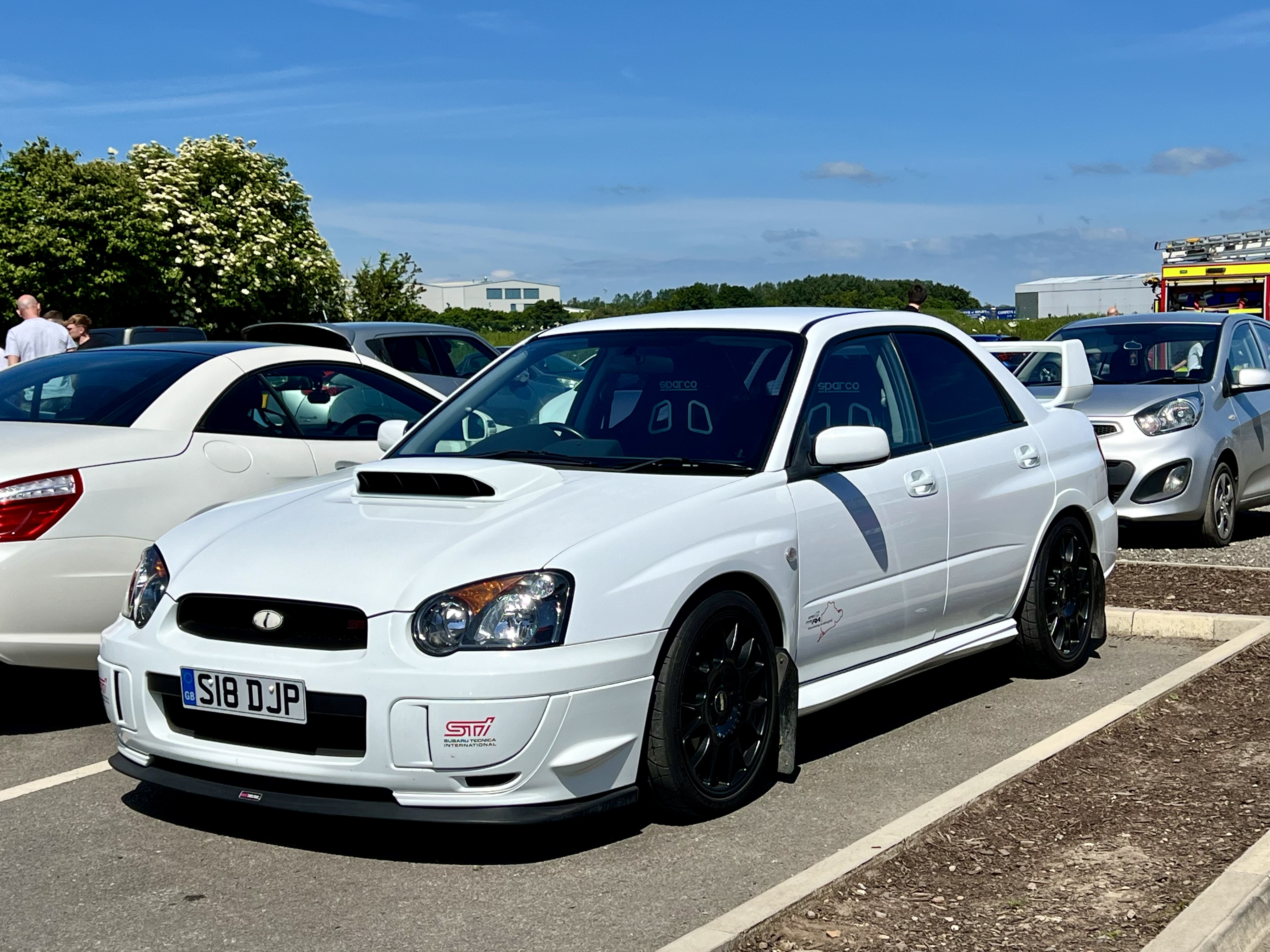 IMG_8974.jpeg
