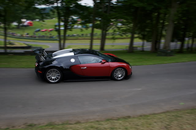IMG_9133.jpg IMG_9133.jpg