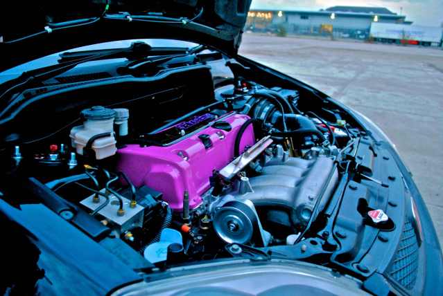 IMG_9173.JPG IMG_9173.JPG