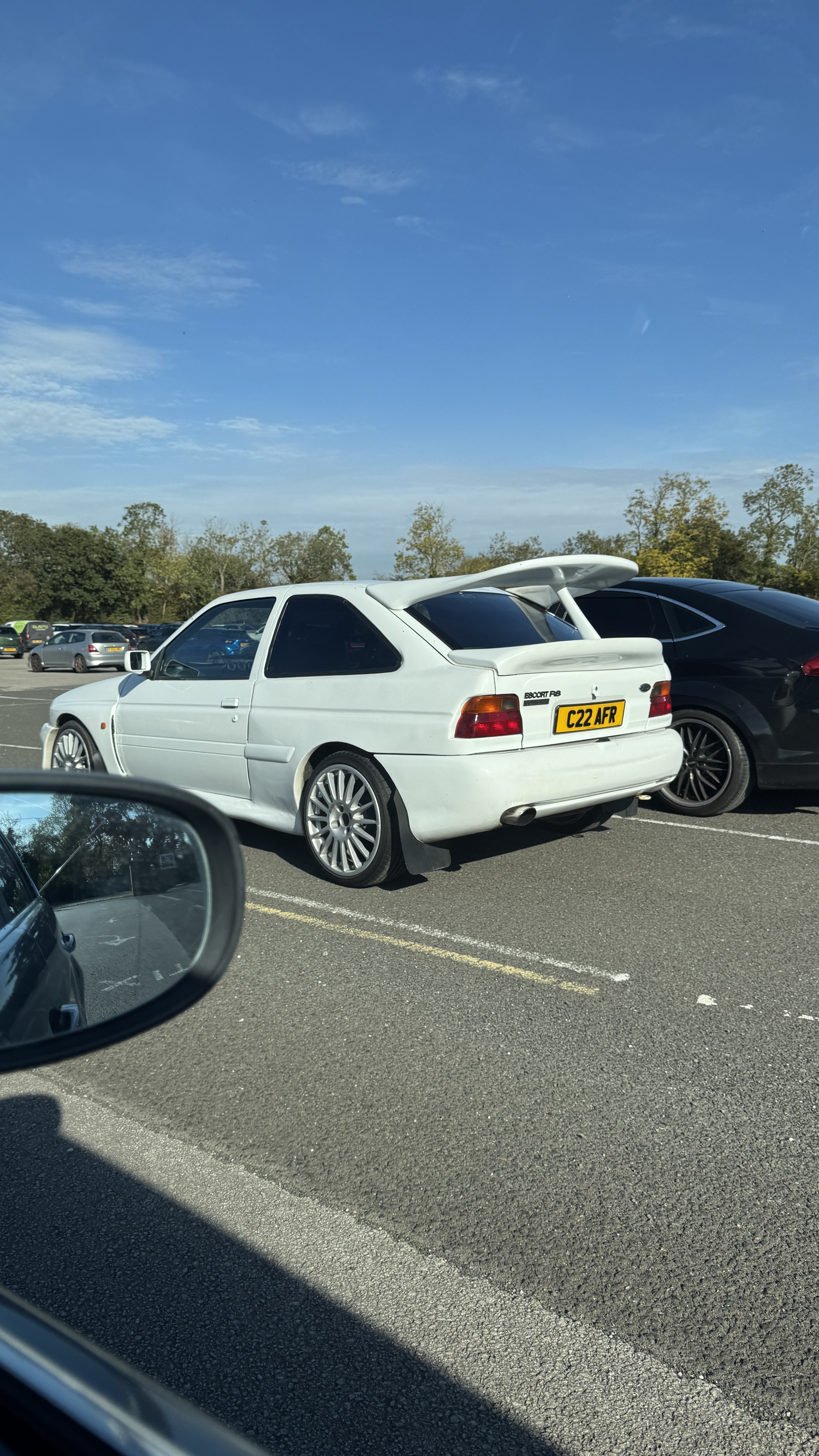 IMG_9311.jpeg