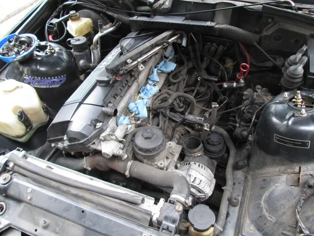 IMG_9316_zps763f79fd.webp